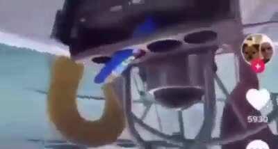 How do you miss the ocean— it's right there