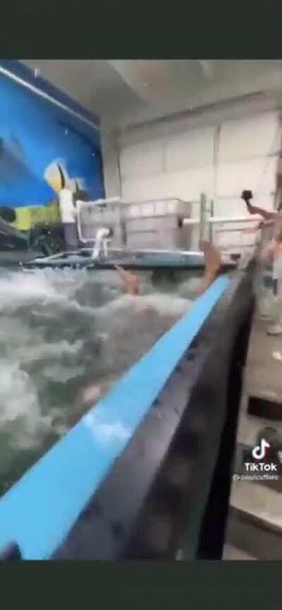 One hit KO by the fish