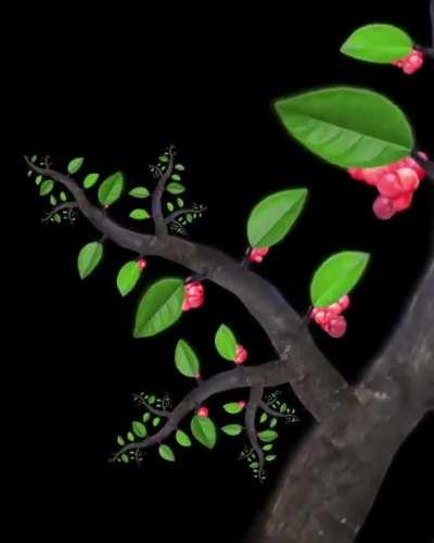 why have you f̷o̬ͮr̀s̕a̴̓k̴̩ͪẻ̱n̬͗͠ ͍̉ me grapes