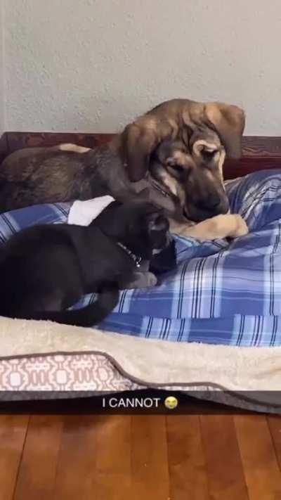 Need someone to look at me like that