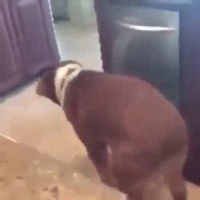 Bee bop boo-boop-wunk