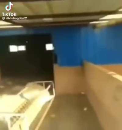 From the makers of goat yoga...GoatKwonDo