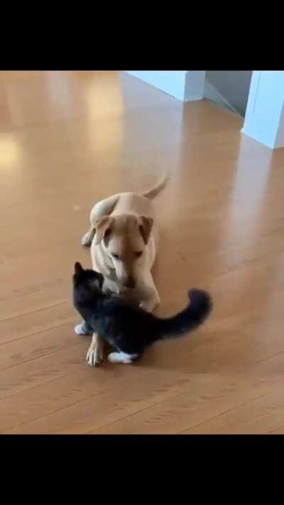 Holy crap,you ok?Do,probably