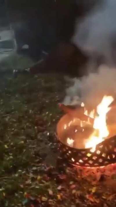 Смотрите чё могу!