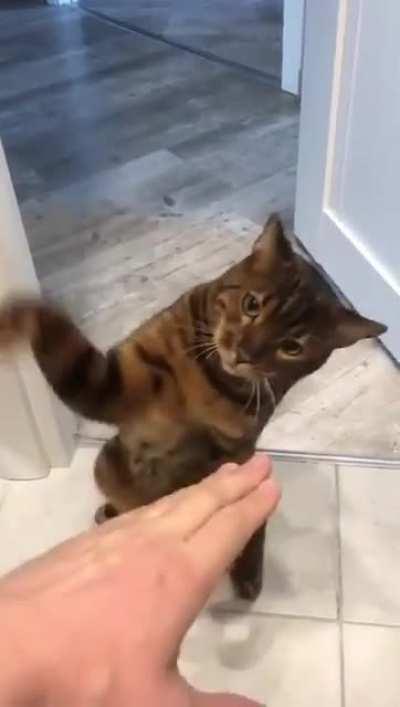 stronger left hook🤣🤣