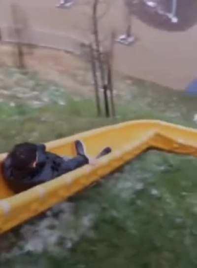 Well that took quite a turn