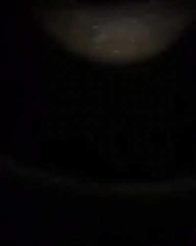 Midnight screams , this forest does not have foxes in it, due to some accident that happened a while back. this forest is fox free. Those screams sound like children screaming , i was in the middle of the forest. Happened in Switzerland 🇨🇭