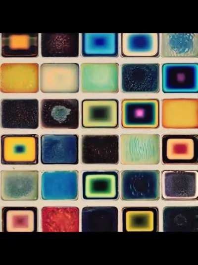 👁️✨🟥🟦🟨