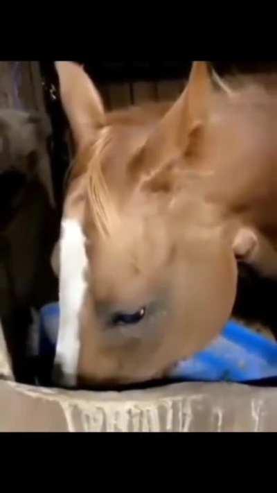 Eu ainda eu ainda me lembro 😶