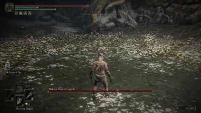 My first playthrough has taken me a full year, and now I have FINALY REACHED MALENIA FOR THE FIRST TIME!