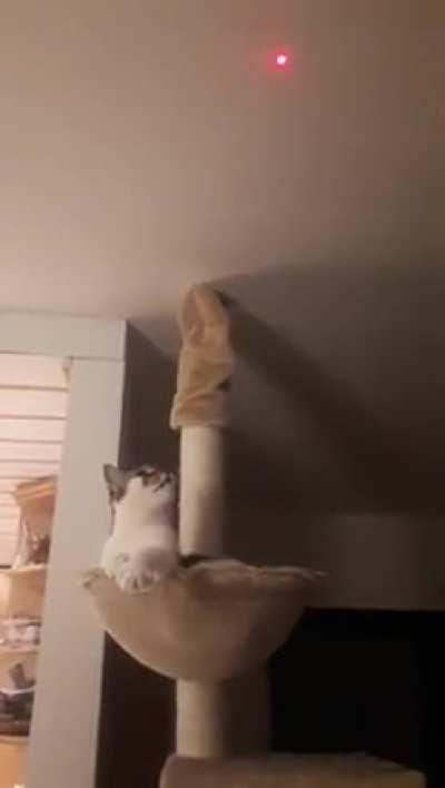 She can't catch it so she complains instead