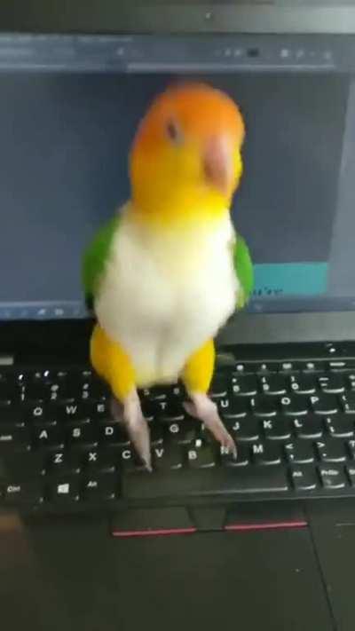 Meanwhile in Twitter Head Quarter..