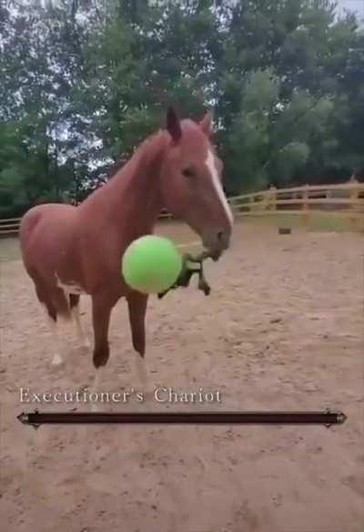 Take your balls back human.