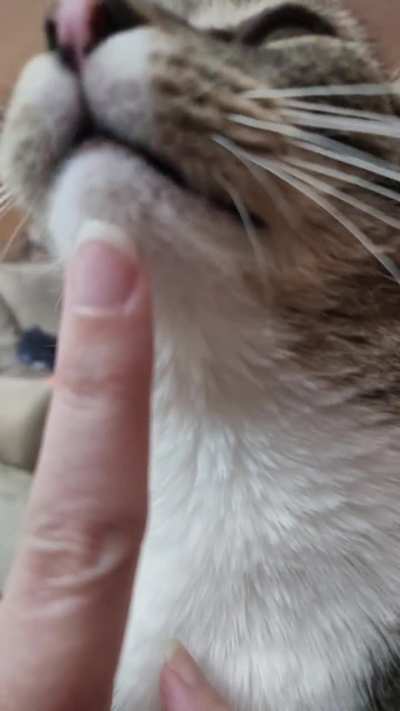 Bucket is a great manicurist. 10/10 do recommend 