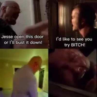 Mr. White kinda got a fatty 👀