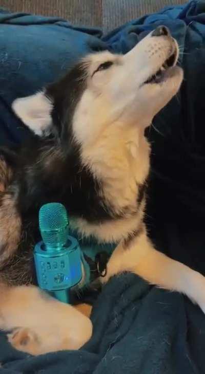 Karaoke evening🎤🎶