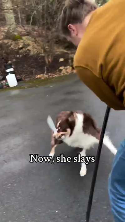 This dog was born in the wrong century ⚔️