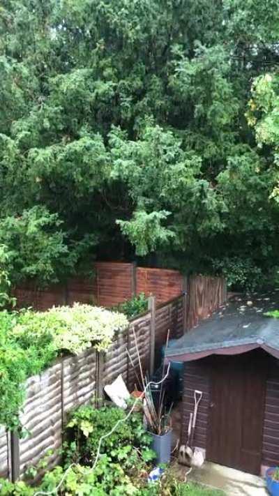 a nice rainy day here in england ☔️