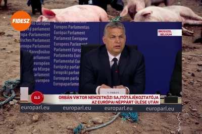 Megnyalta a kecske a tökét!