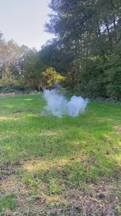 Italian Rendino Other