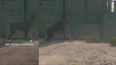 New dog operator just got added 😳