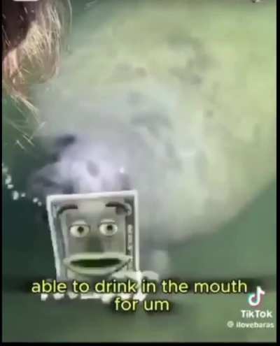 Would you co-host with this man on national news? 🎅🎅😩