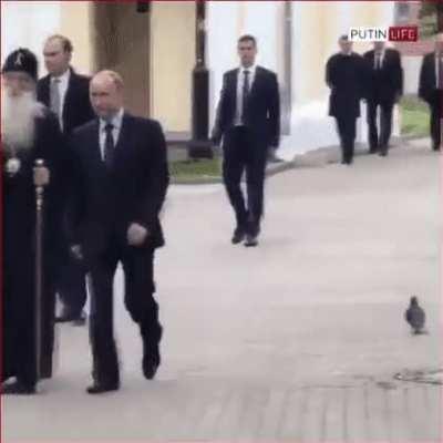 Just Putin this out there