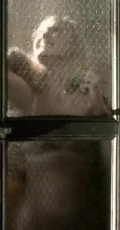 Elle Fanning got locked out of her boyfriend's apartment in her underwear during rain. Maybe the patrons of the bar on ground level will help her to warm up and fill her holes with hot cum?