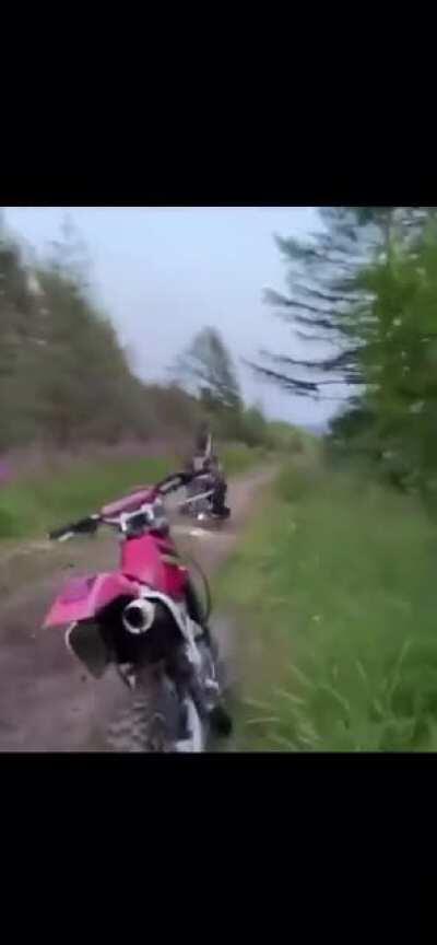 Guess what they broke