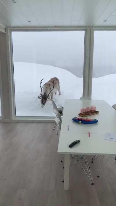 This regular house and it's windows in Finland