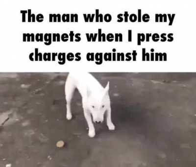 I’ll be keeping my ion him