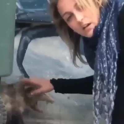 She's so drunk she's petting a opossum