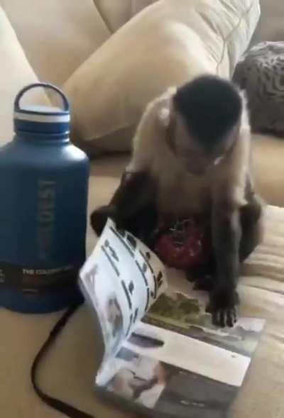 Se le ve bastante fresco al pana Orslok con su nuevo termo, espero la disfrute y se lo agradezca al de arriba 🤲😎🤲