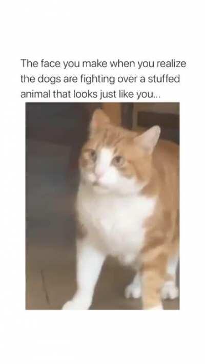 Aaah hell naww hell nawww