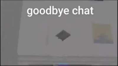 goodbye