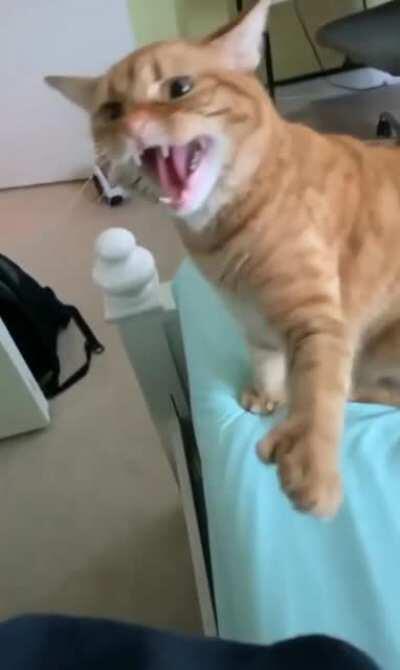 ШШШ и на тебя