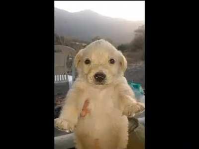 que es esta wea XDDDDDDDD