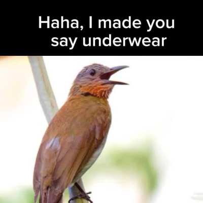 join our discord server and check out our FB page 