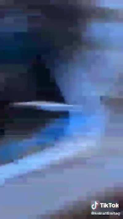 What should I so today?