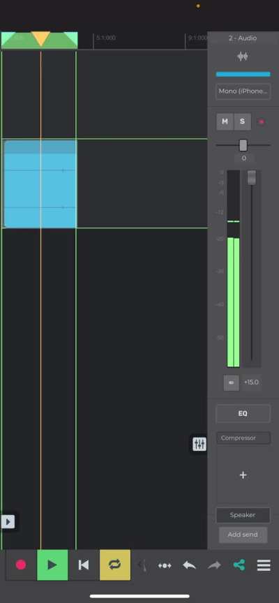 Unexplained voice caught