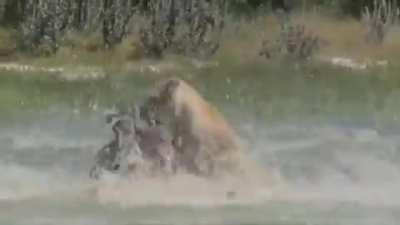 My heart skipped a beat!