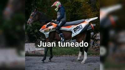 🐎Juanverso🐴