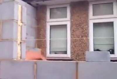 Trying to get rid of a wasps nest using a sAw…