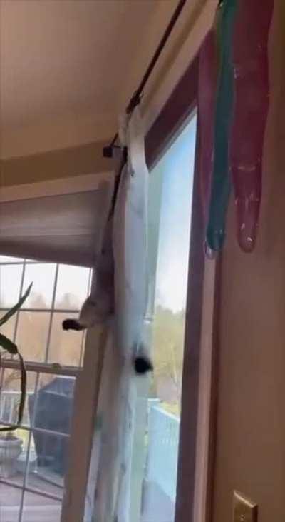 Welcome To Military Training