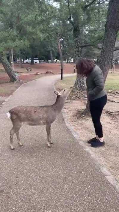 Where the fuck did it come from!?