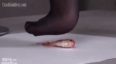 Anyone have this vid? Dm me if you do 💯