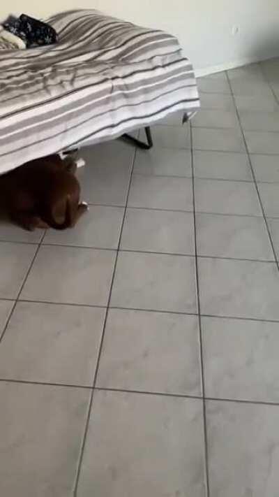 Scream is so scary for maya