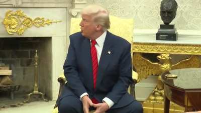 Trump on annexing Greenland, while sitting next to the NATO secretary general: 