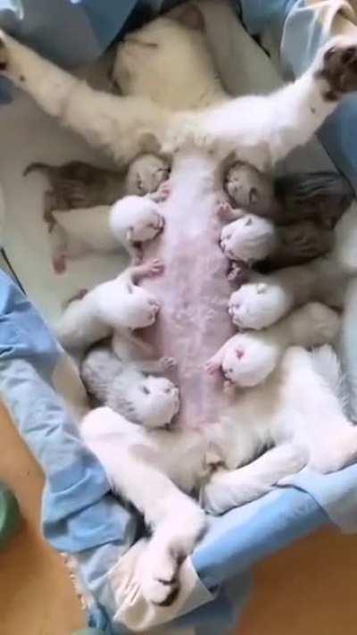 Oh my god🤩🤩🤩