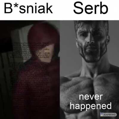 Chad Serb 😎 vs virgin B*snian 🤮